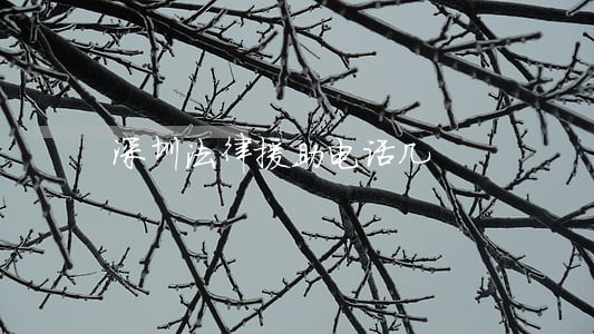 深圳法律援助电话几 深圳法律援助电话几