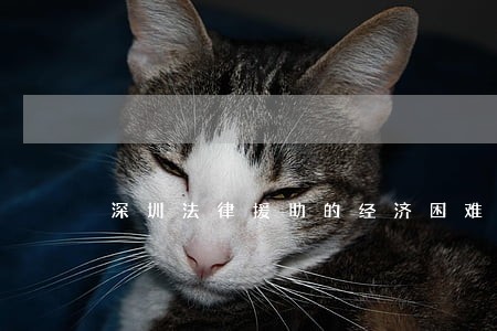 深圳法律援助的经济困难证明