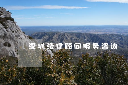 深圳法律顾问服务咨询 深圳法律顾问服务咨询