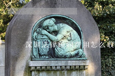 深圳法律顾问费用怎么收 深圳法律顾问费用怎么收