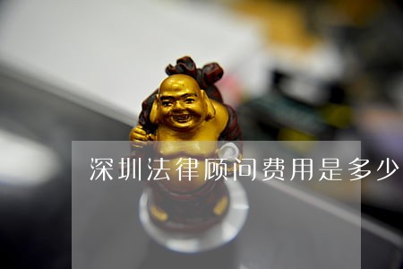 深圳法律顾问费用是多少 深圳法律顾问费用是多少