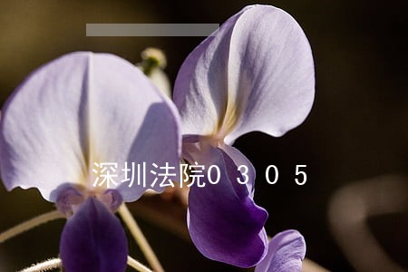 深圳法院0305