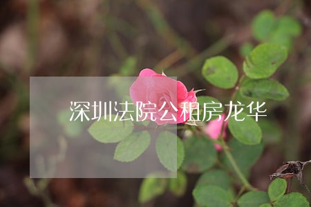 深圳法院公租房龙华