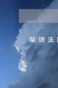 深圳法院刘桂泉