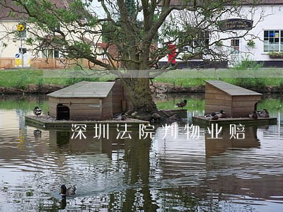 深圳法院判物业赔 深圳法院判物业赔