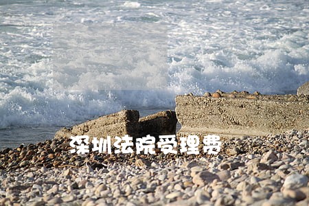深圳法院受理费 深圳法院受理费