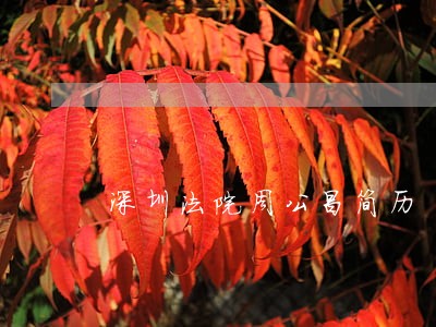 深圳法院周公昌简历