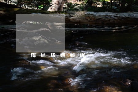 深圳法院姚辉 深圳法院姚辉
