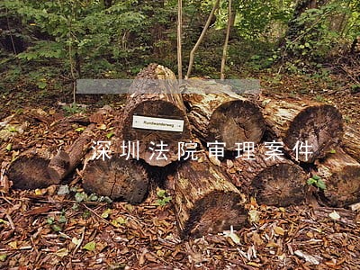 深圳法院审理案件 深圳法院审理案件