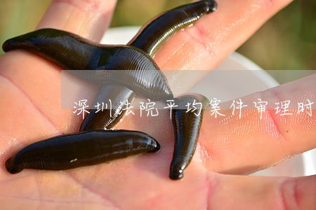 深圳法院平均案件审理时间 深圳法院平均案件审理时间