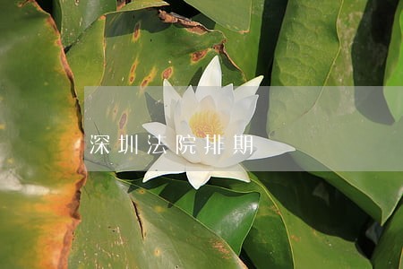 深圳法院排期 深圳法院排期