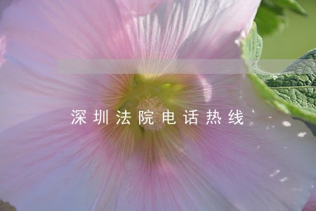 深圳法院电话热线 深圳法院电话热线