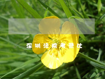 深圳法院考录比 深圳法院考录比