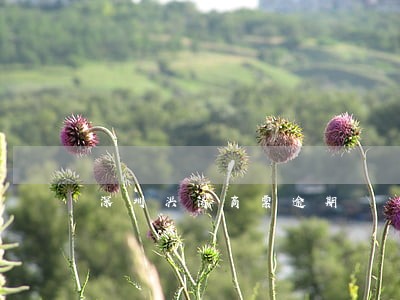 深圳洪涛商票逾期 深圳洪涛商票逾期