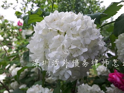 深圳涉外债务律师怎么收费 深圳涉外债务律师怎么收费