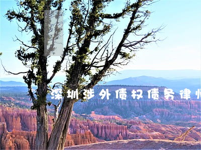 深圳涉外债权债务律师哪个好