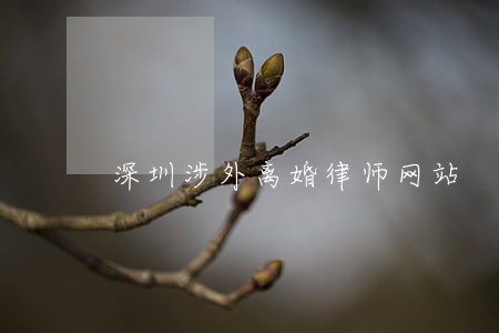 深圳涉外离婚律师网站 深圳涉外离婚律师网站
