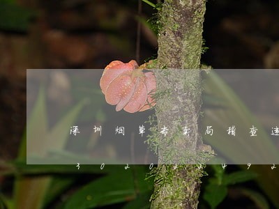 深圳烟草专卖局稽查违法卷烟打假/2023020224929 深圳烟草专卖局稽查违法卷烟打假/2023020224929