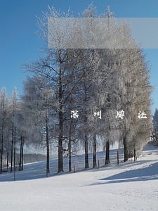 深圳牌法院拍卖 深圳牌法院拍卖