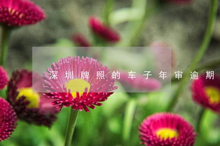 深圳牌照的车子年审逾期了怎么办 深圳牌照的车子年审逾期了怎么办
