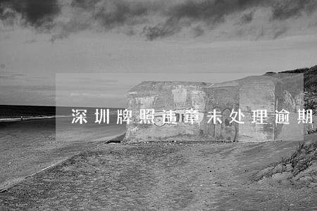 深圳牌照违章未处理逾期咋办 深圳牌照违章未处理逾期咋办