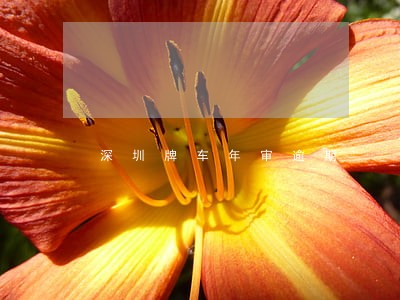 深圳牌车年审逾期 深圳牌车年审逾期