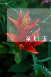 深圳玉龙债务律师在线咨询免费 深圳玉龙债务律师在线咨询免费