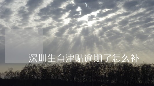 深圳生育津贴逾期了怎么补 深圳生育津贴逾期了怎么补
