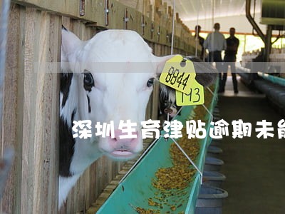 深圳生育津贴逾期未能申报