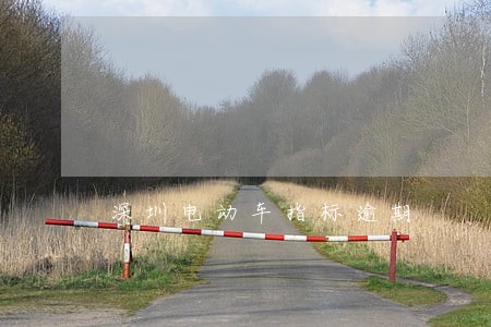 深圳电动车指标逾期 深圳电动车指标逾期