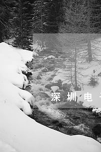 深圳电子税务局逾期 深圳电子税务局逾期