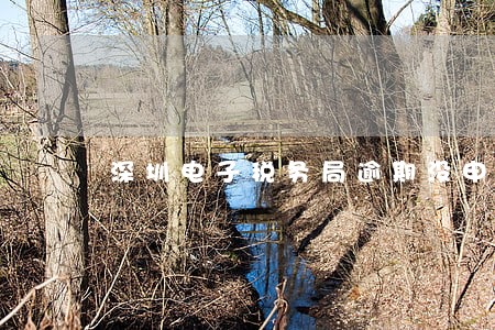 深圳电子税务局逾期没申报 深圳电子税务局逾期没申报