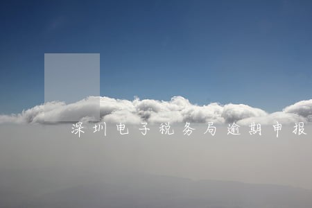 深圳电子税务局逾期申报电脑版 深圳电子税务局逾期申报电脑版
