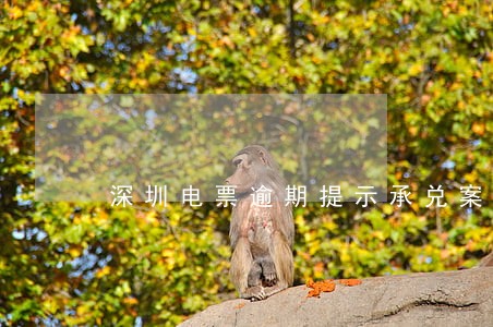 深圳电票逾期提示承兑案例 深圳电票逾期提示承兑案例