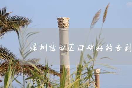 深圳盐田区口碑好的专利律师