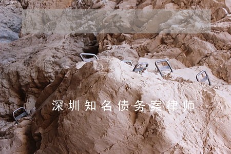 深圳知名债务案律师 深圳知名债务案律师