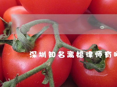 深圳知名离婚律师有哪些 深圳知名离婚律师有哪些