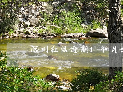 深圳社保逾期1个月如何补缴 深圳社保逾期1个月如何补缴