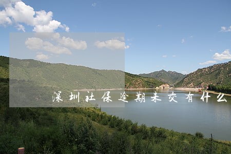 深圳社保逾期未交有什么影响 深圳社保逾期未交有什么影响