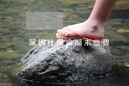 深圳社保逾期未缴费 深圳社保逾期未缴费