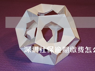 深圳社保逾期缴费怎么办理 深圳社保逾期缴费怎么办理