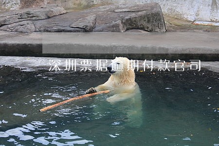 深圳票据逾期付款官司
