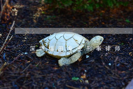 深圳福田专业刑事律师 深圳福田专业刑事律师