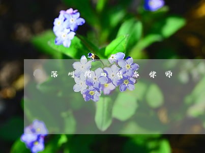 深圳福田债务律师 深圳福田债务律师