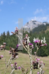 深圳福田区债权债务律师咨询网站 深圳福田区债权债务律师咨询网站