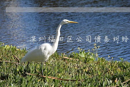 深圳福田区公司债务纠纷律师 深圳福田区公司债务纠纷律师