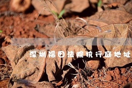 深圳福田法院执行庭地址