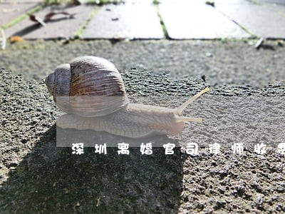 深圳离婚官司律师收费标准 深圳离婚官司律师收费标准