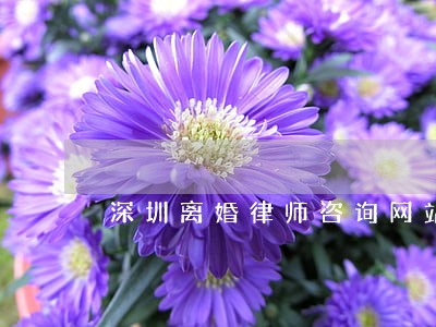 深圳离婚律师咨询网站 深圳离婚律师咨询网站