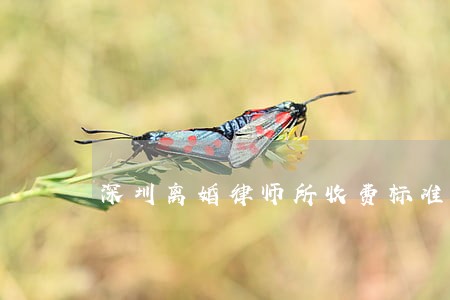 深圳离婚律师所收费标准 深圳离婚律师所收费标准